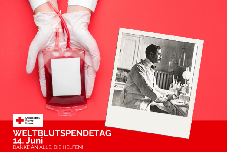 Eine Hand mit einer Blutkonserve und das Foto von Karl Landsteiner.