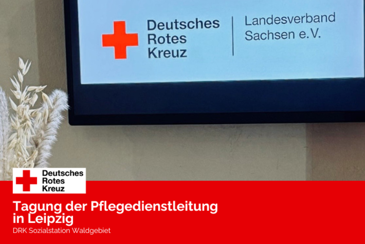 Ein Bildschirm mit Rotkreuz-Logo und der Signatur des Landesverbandes sind zu sehen. Davor steht eine braune Vase mit Gräsern.