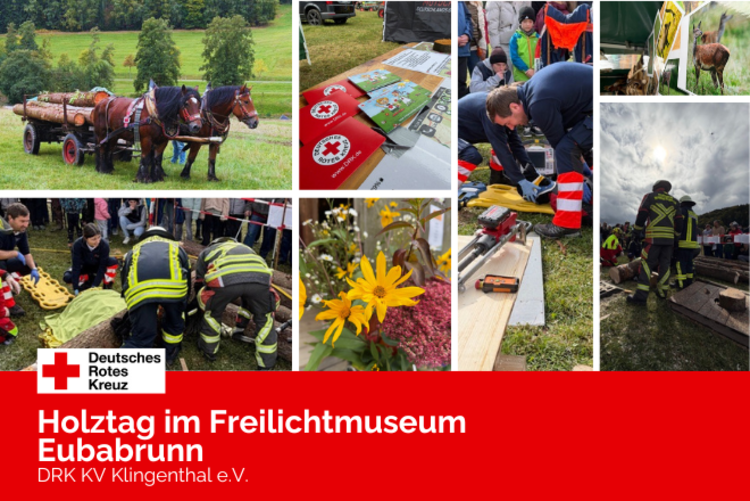 Impressionen des Holztages: Rückepferde, Blumenschmuck, der Stand des DRK mit Pflastermäppchen und Fotos der Schauvorführung  mit der DRK Rettungsdienst Oberes Vogtland gGmbH und der Feuerwehr Erlbach.