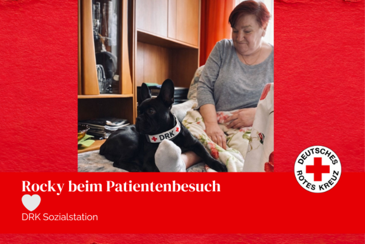 Unsere Patientin hat nach der Fußpflege ein Bein auf einem Hocker. Unsere französische Bulldoge Rocky hat es sich dort ebenfalls gemütlich gemacht.